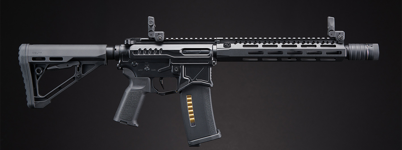 Zion Arms R15 MK2 BL-2 SSG Custom Build - (Black)