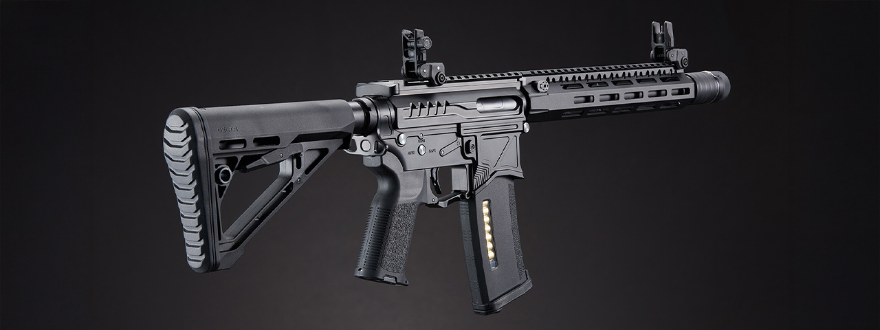 Zion Arms R15 MK2 BL-2 SSG Custom Build - (Black)